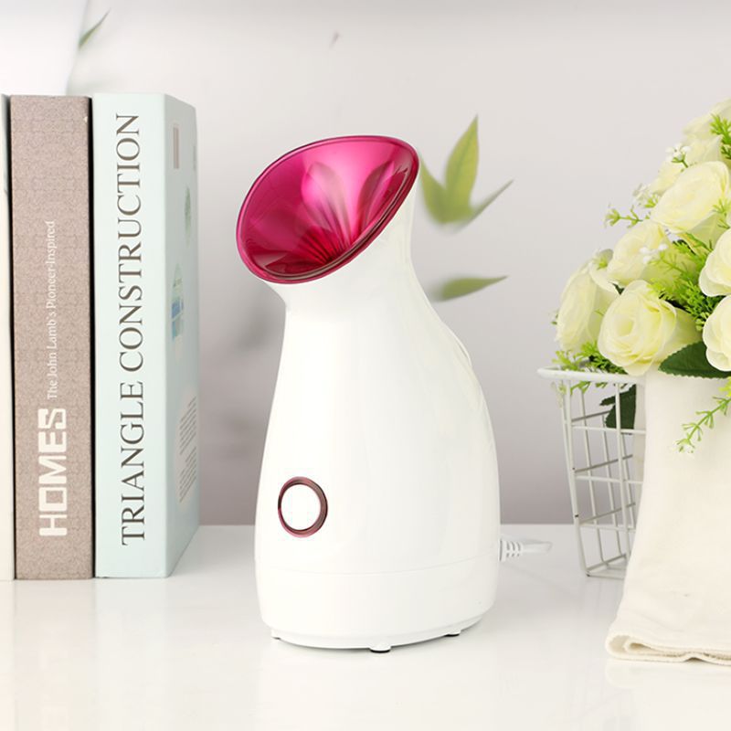 Mini Ionic Facial Steamer for Deep Cleansing