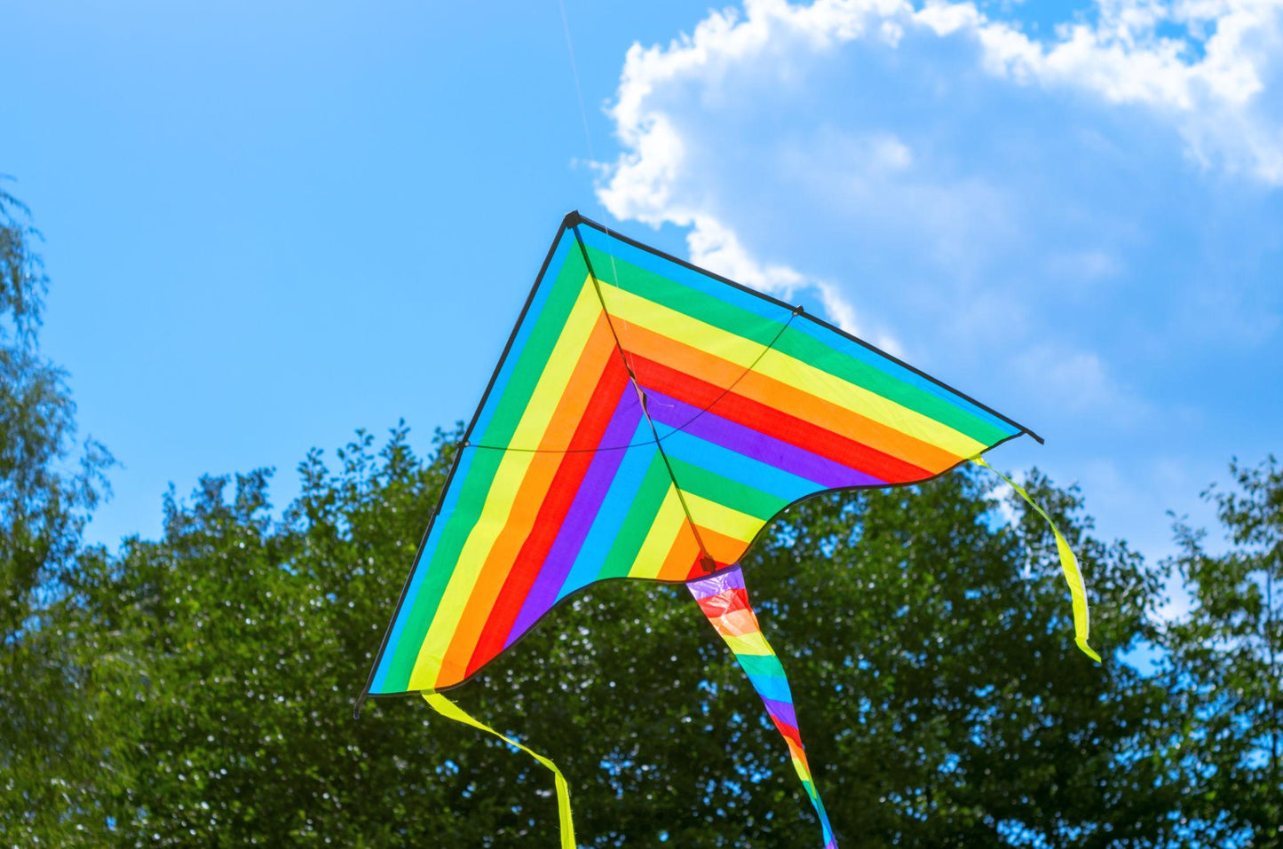 Rainbow Color Flying Kite for Kids
