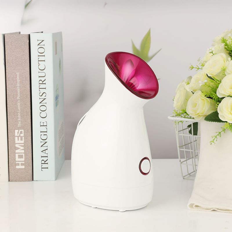 Mini Ionic Facial Steamer for Deep Cleansing
