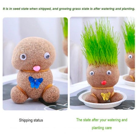 Growing Grass Head Doll Mini Bonsai – DIY Plant Growing Kit for Kids & Adults