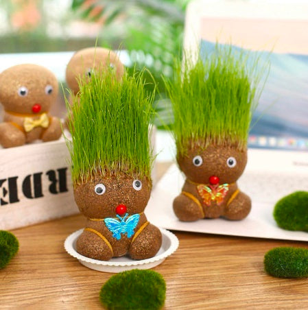 Growing Grass Head Doll Mini Bonsai – DIY Plant Growing Kit for Kids & Adults